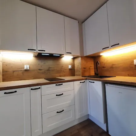 Apartment Golden - Monopol *