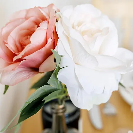 Golden - Monopol * Вроцлав