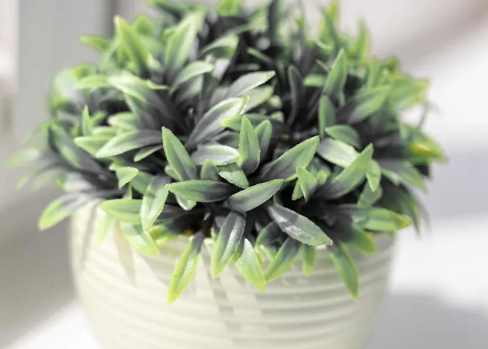 Urban Chic - Rynek Squre - Great Location & Swidnicka * Breslau